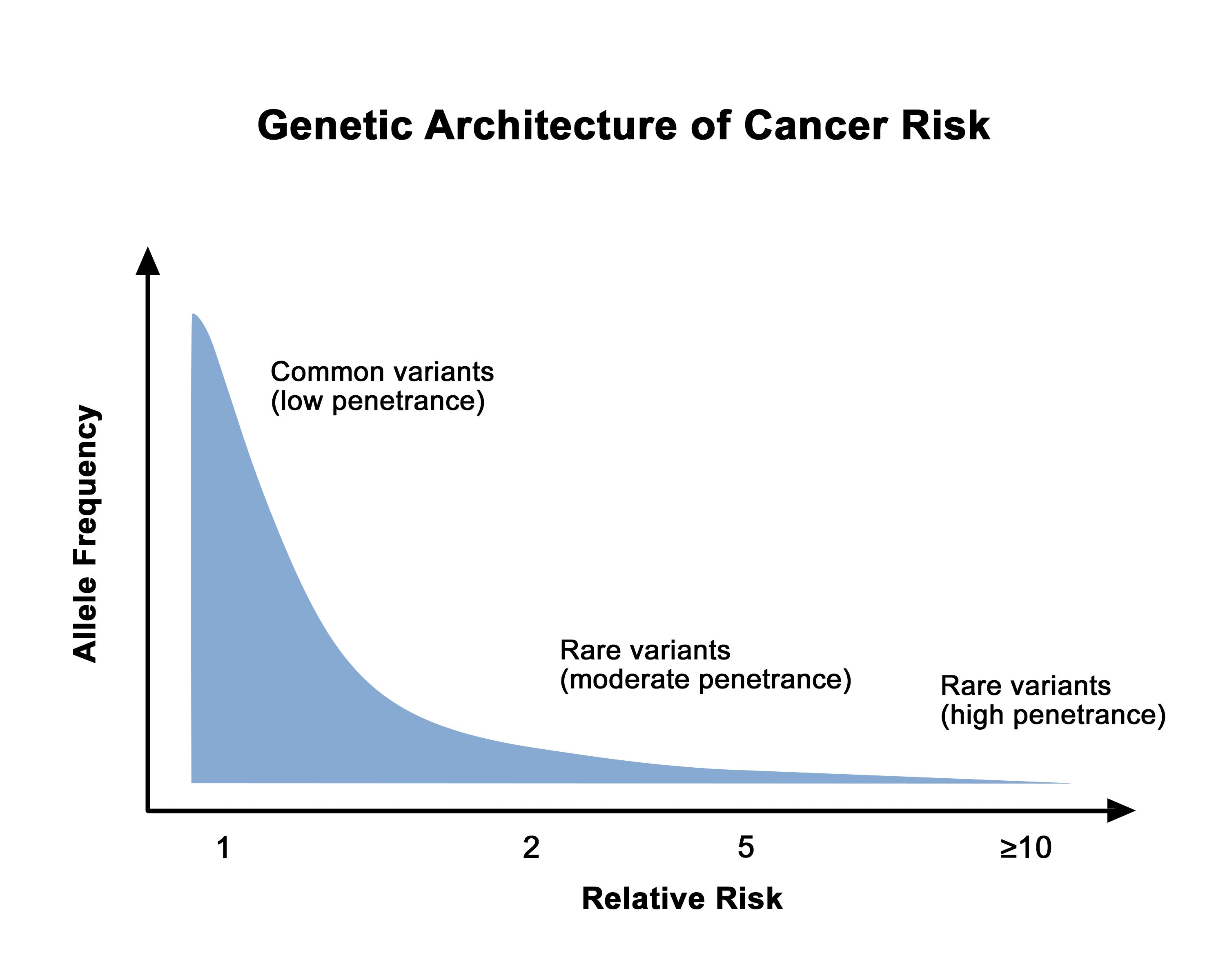 Prostat Kanserinde Genetik Test ve Risk Faktörleri